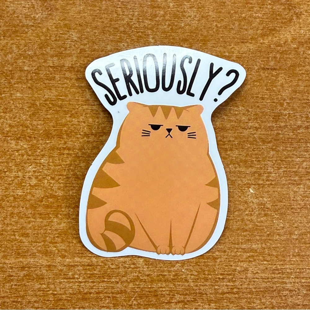 Orange‎ Cat Sticker - Seriously?